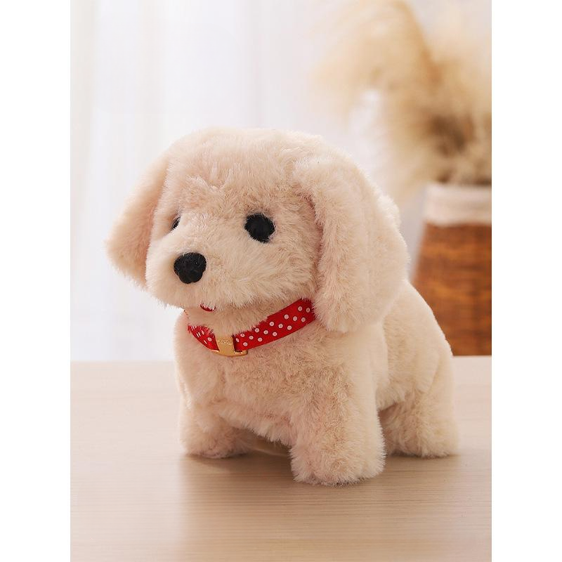 Pet Accessories 5 Piece Set