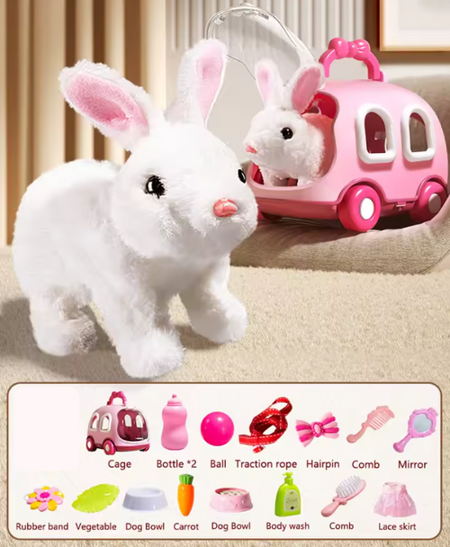 🐰 Ultimate 15-Piece Accessory Set 🎀✨