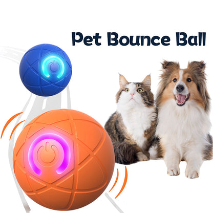 BetterLife™ Pet Bounce Interactive Ball