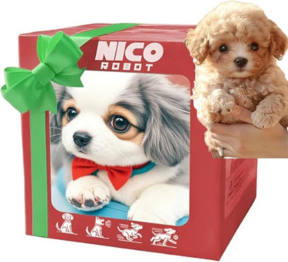🐶 NICCO | My Realistic Puppy