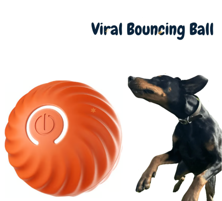 BetterLife™ Pet Bounce Interactive Ball