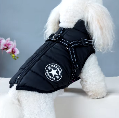 Waterproof Warm Dog Coat for Small and Large Dogs