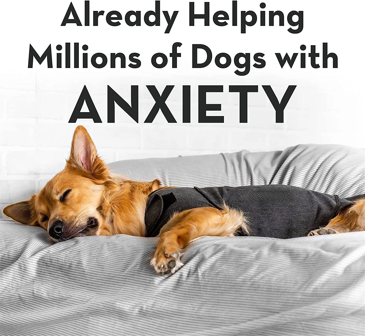 AnxietyRelief™: Dog Calming Vest