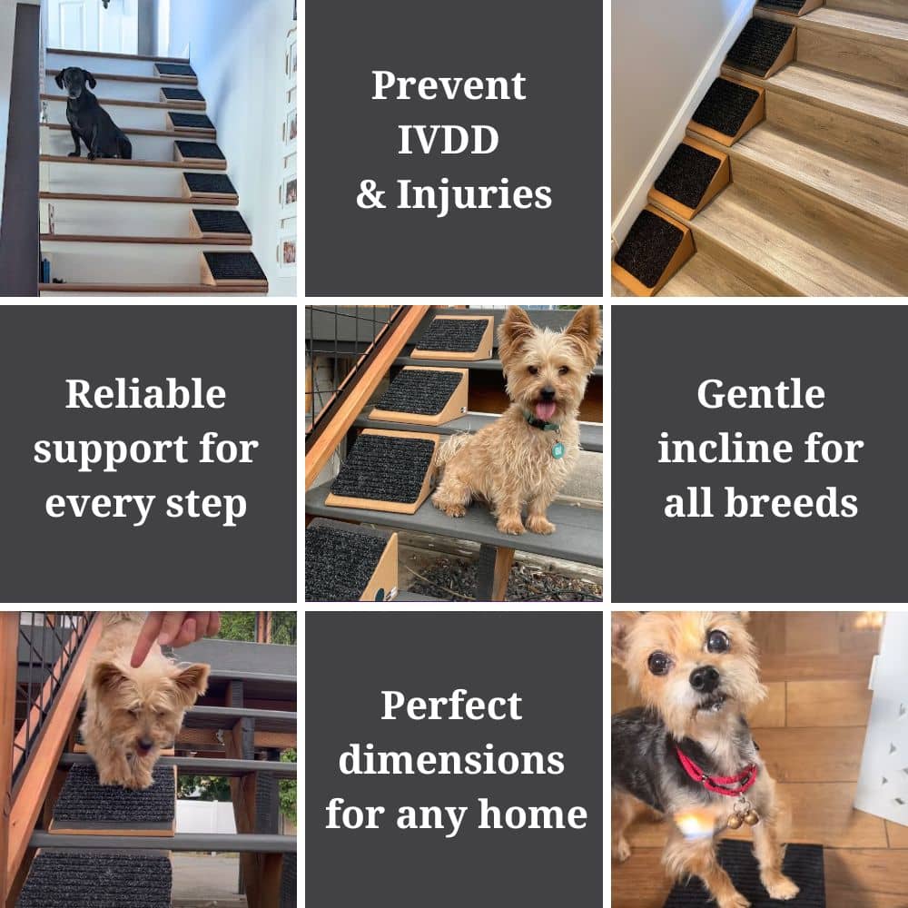 Dog Ramp for Small Dogs - Versatile Stair Ramp for Any Staircase