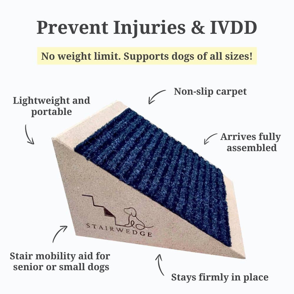 Dog Ramp for Small Dogs - Versatile Stair Ramp for Any Staircase