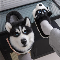 Husky