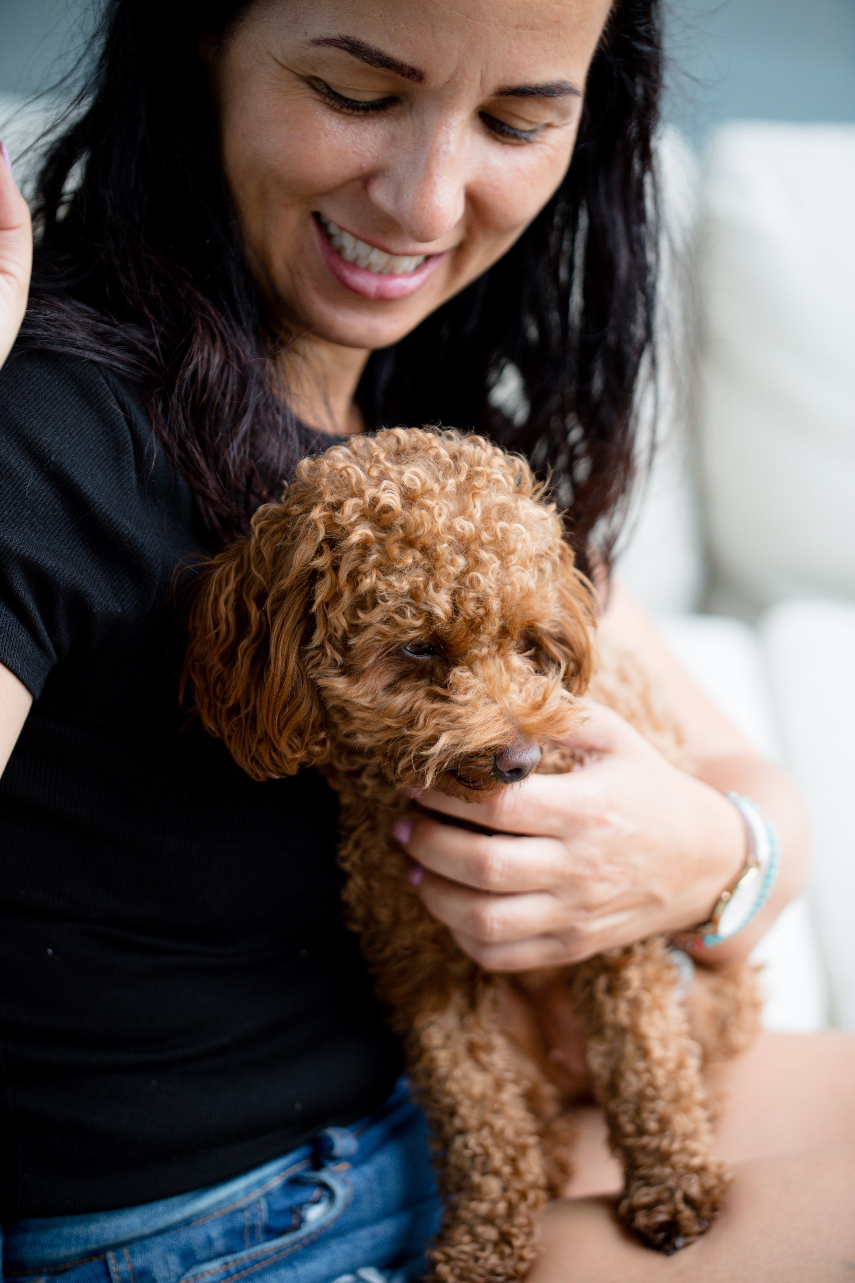 files/a-fluffy-brown-dog-sits-on-a-persons-lap.jpg