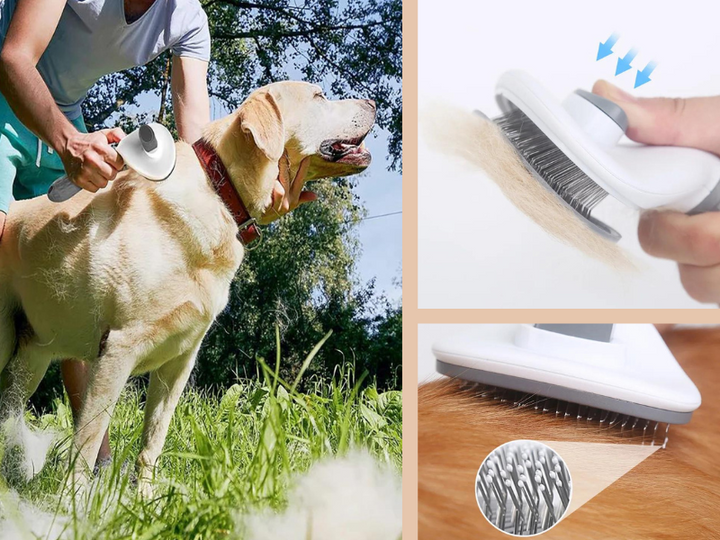 Stainless Steel Hair Brush for Pets
