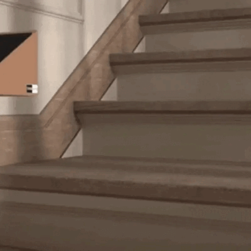 Dog Ramp for Small Dogs - Versatile Stair Ramp for Any Staircase