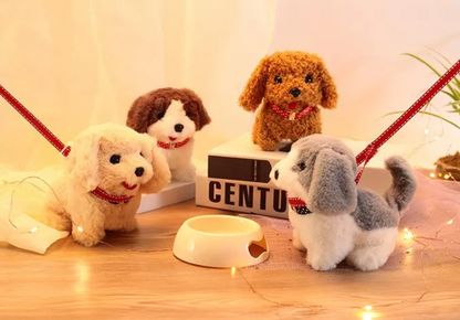 Pet Accessories 5 Piece Set