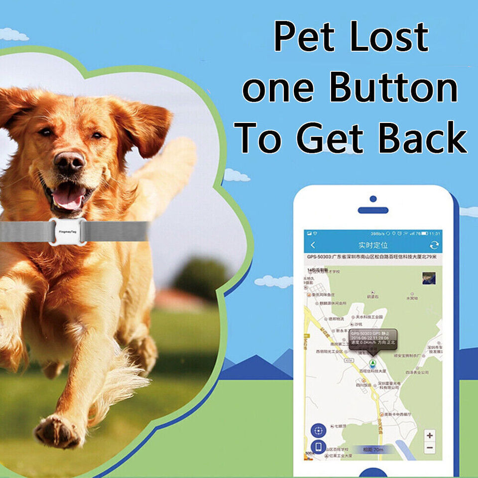 FindMy™ Tag: Pet Global GPS Locator